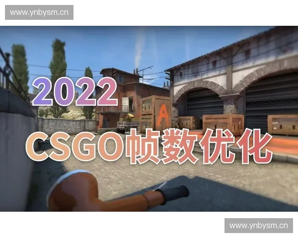 《深入分析CSGO 64位版本的优化与性能提升》